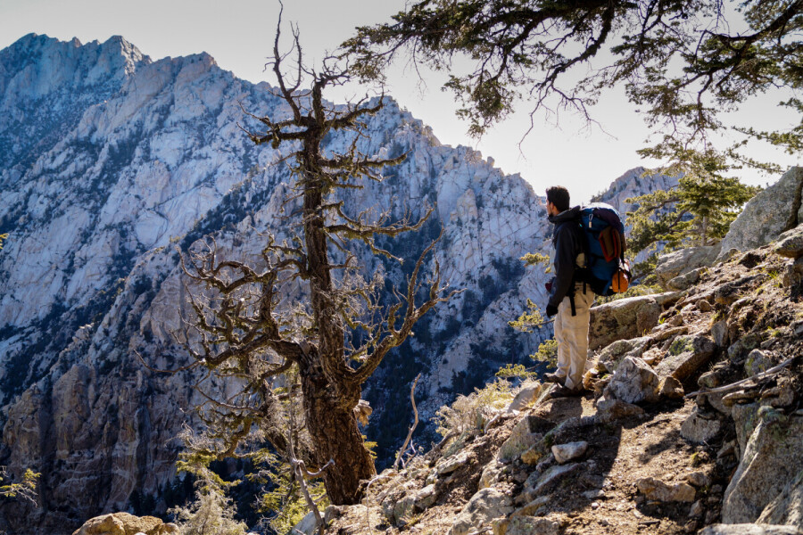 Explora el paraíso ecoturístico del Parque Nacional Sierra de San Pedro Mártir