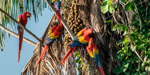 Descubre la Selva Lacandona