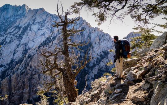 Explora el paraíso ecoturístico del Parque Nacional Sierra de San Pedro Mártir