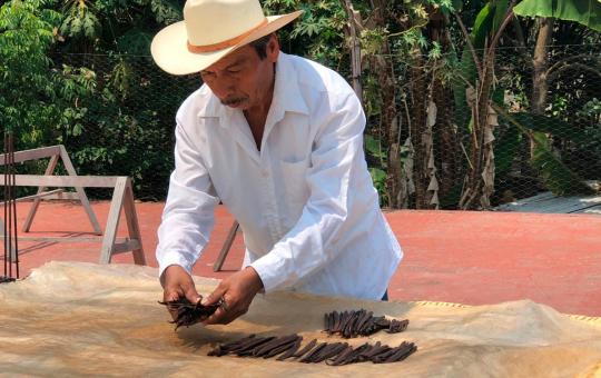 Cinco deliciosas recetas con vainilla de Papantla para compartir dulces momentos