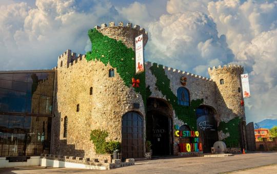 Experiencia inolvidable de un día recorriendo el pueblo mágico de Tequila, Jalisco